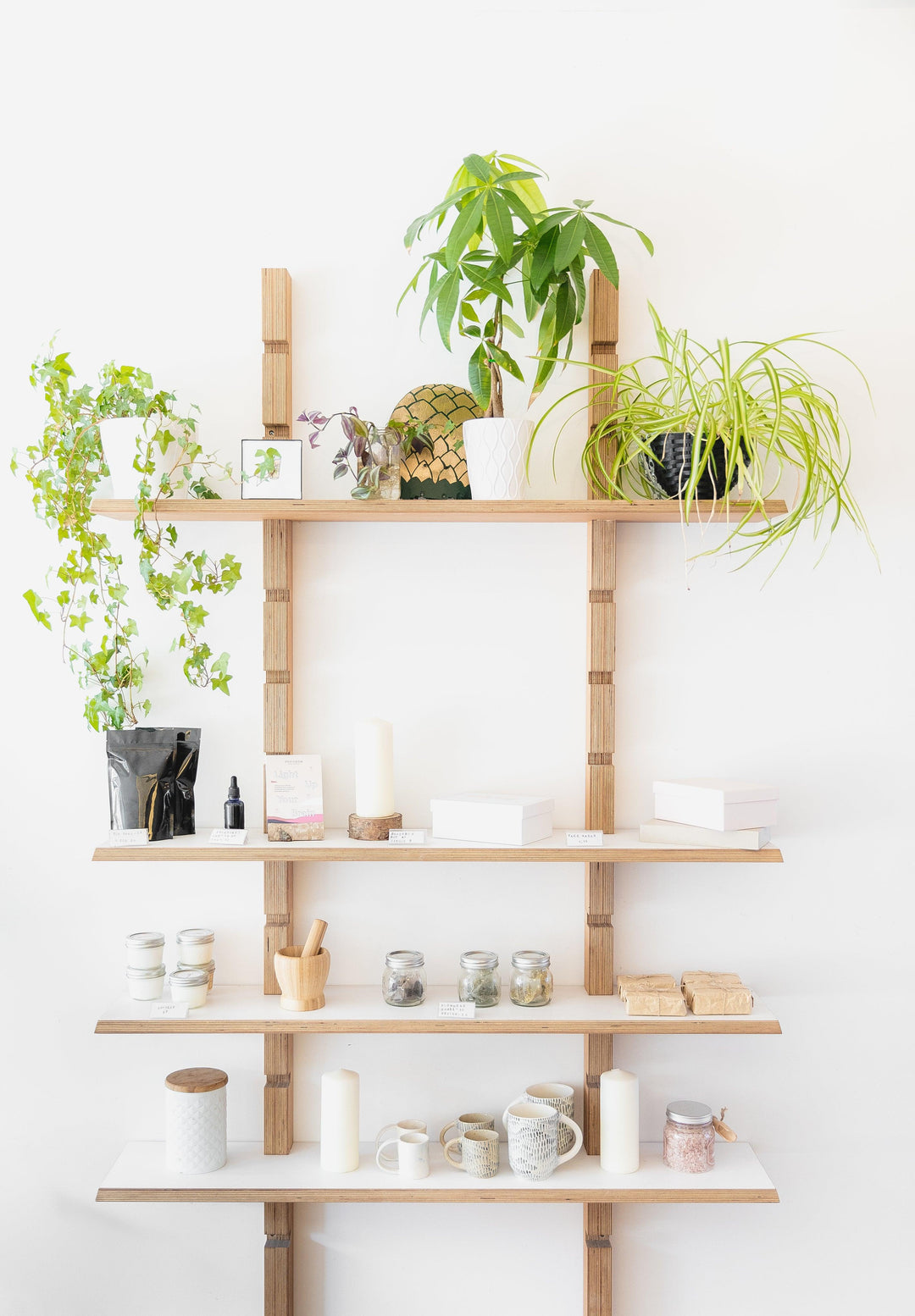 a-selection-of-candles-and-plants-on-wooden-shelves - Ready Sweat Go
