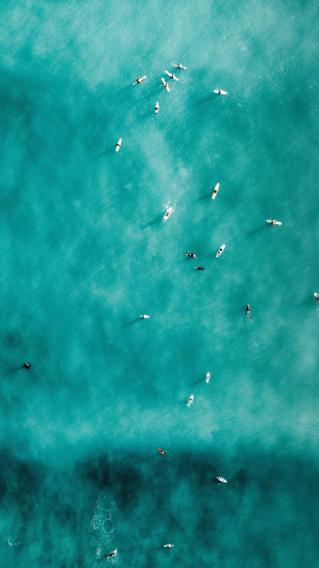 aerial-photo-of-people-in-aqua-blue-water - Ready Sweat Go